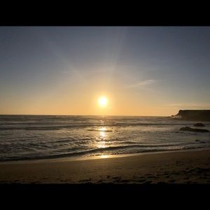 Meet your Posher, Shelby